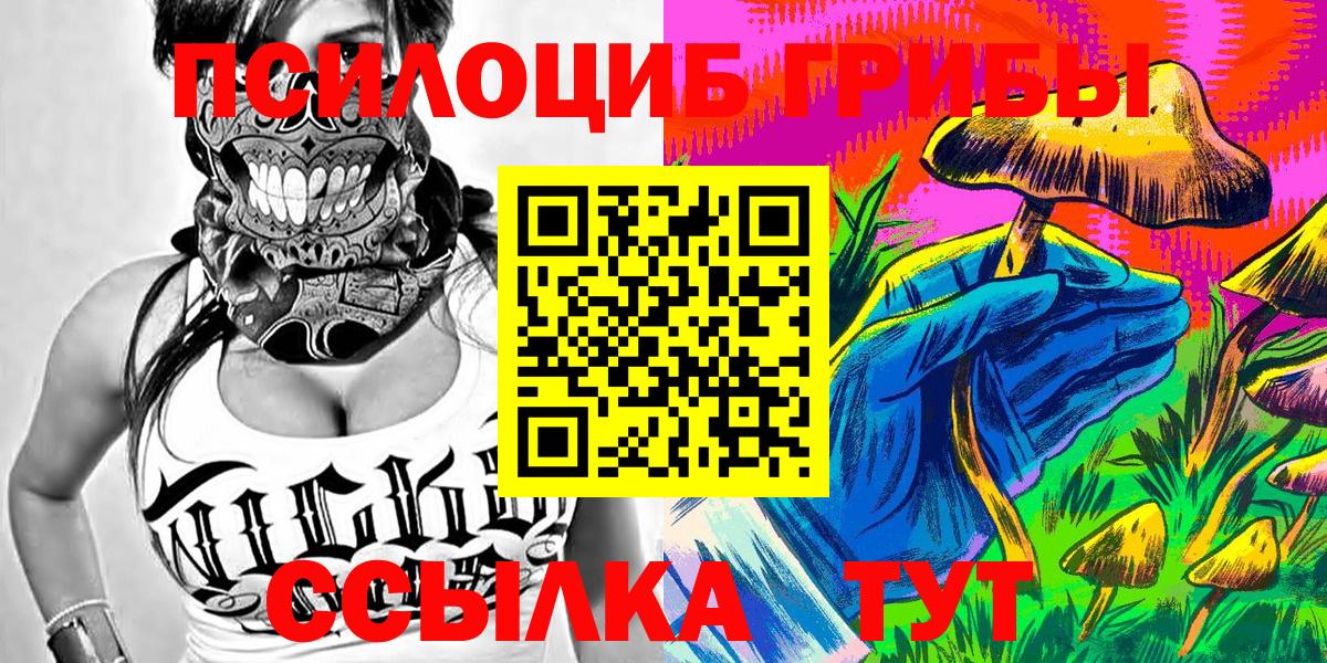 Псилоцибиновые грибы мицелий  Вход с VPN  Вышний Волочёк 